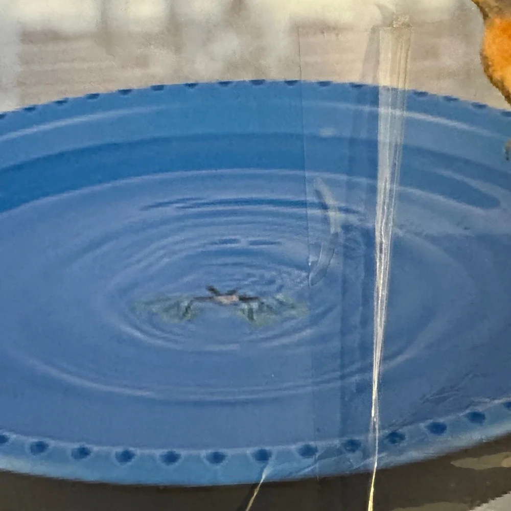KETEN Heated Birdbath All Seasons Garden Water Basin Blue Orange